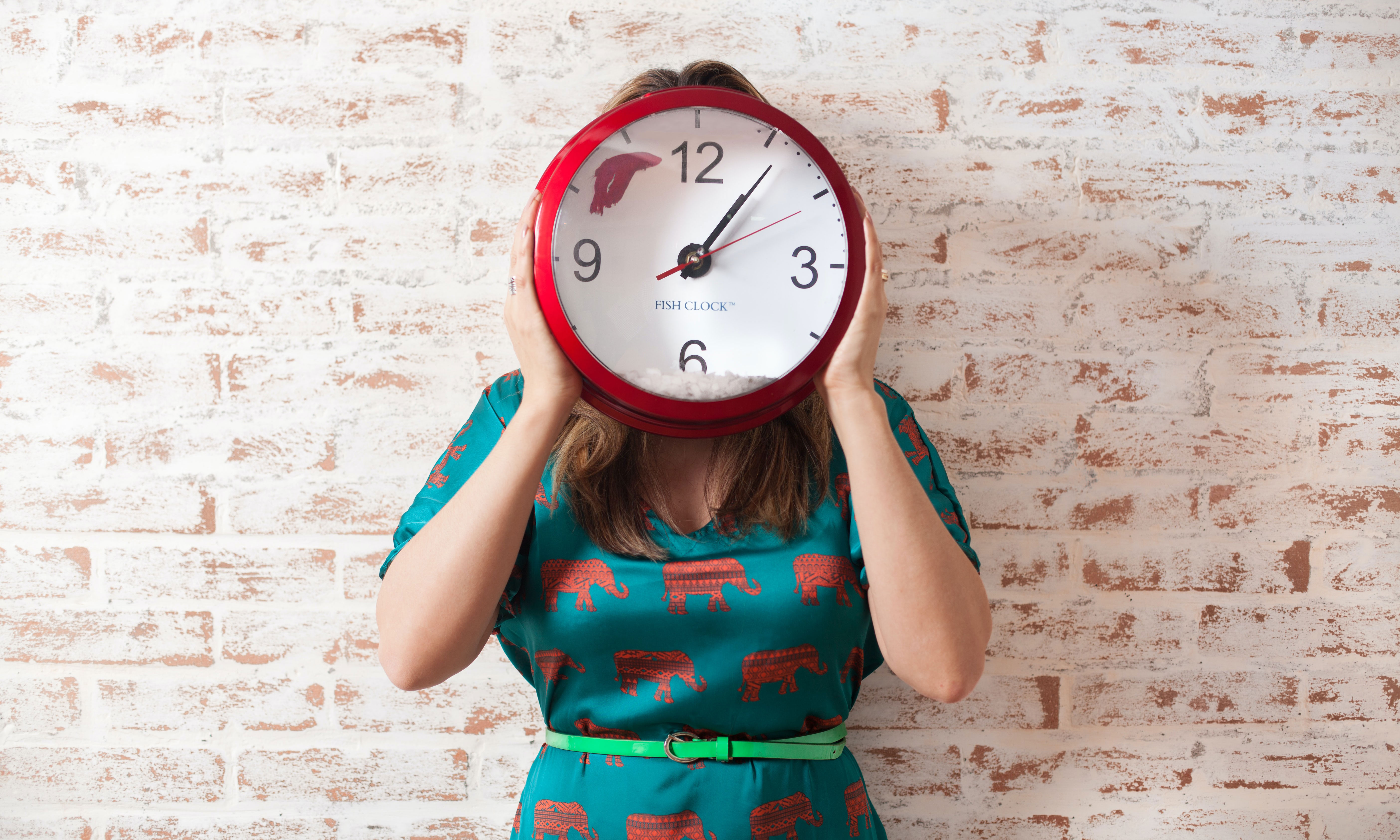 Anhebung Regelstudienzeit und BAföG