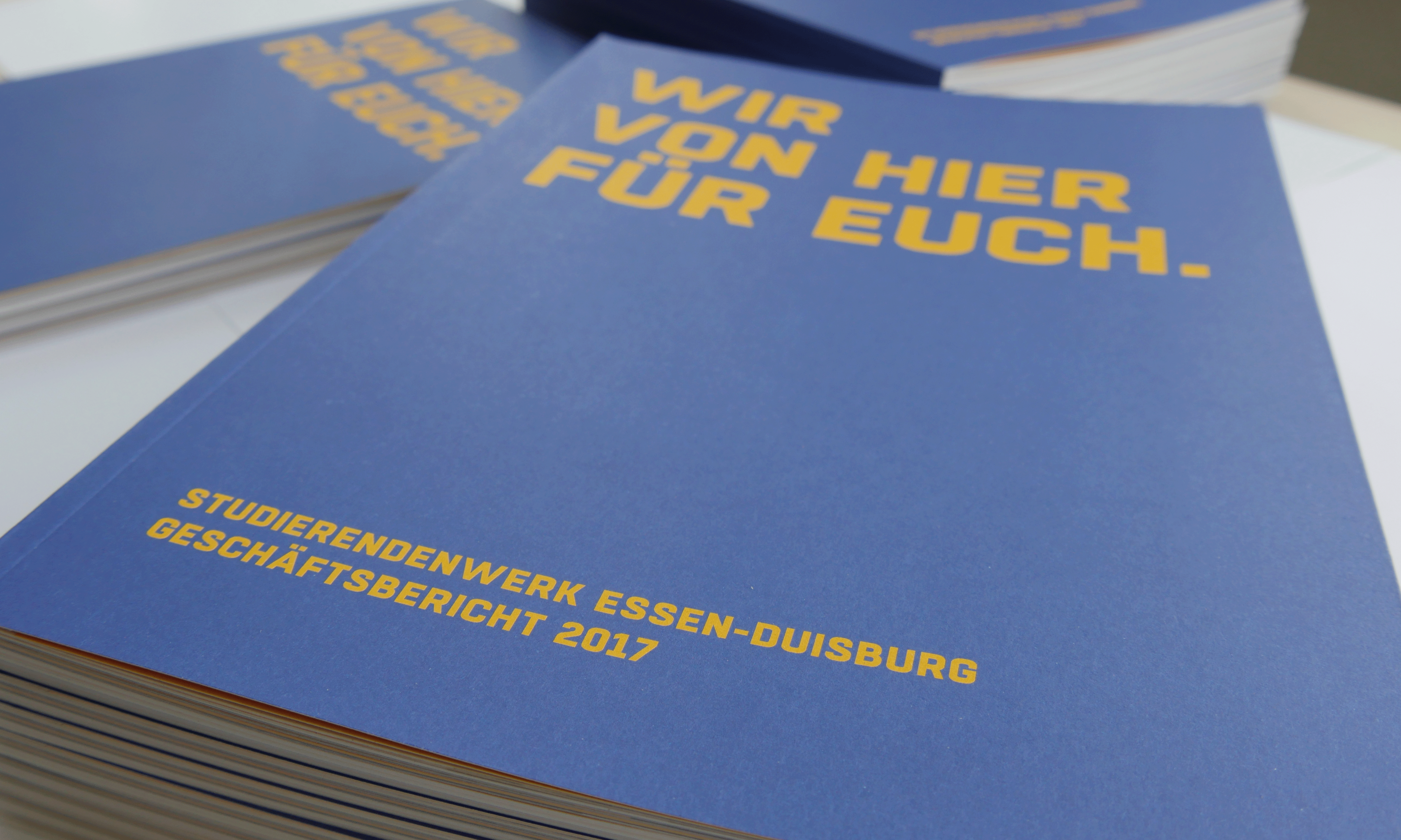 Geschäftsbericht des Studierendenwerks für das Jahr 2017